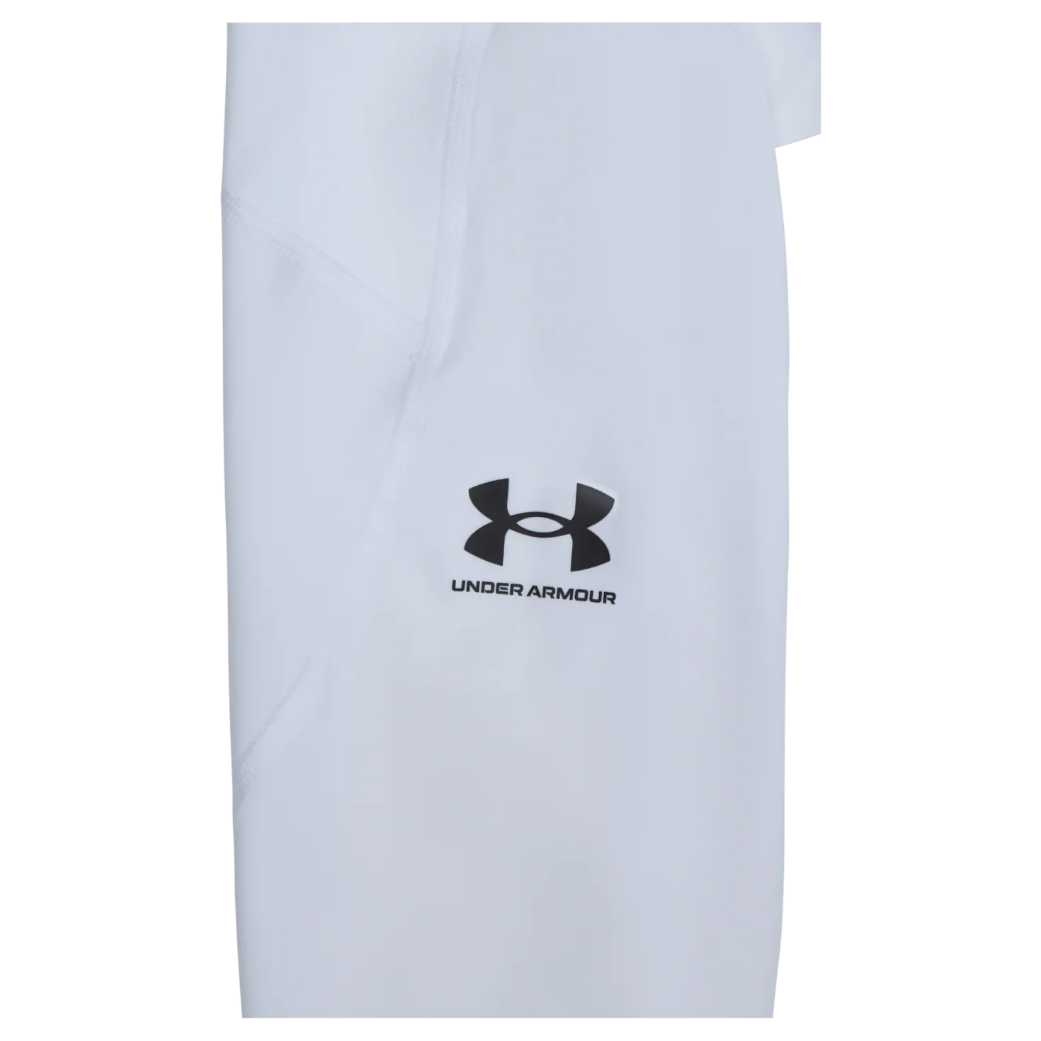 UA HG Armour Leggings