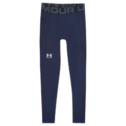 UA HG Armour Leggings