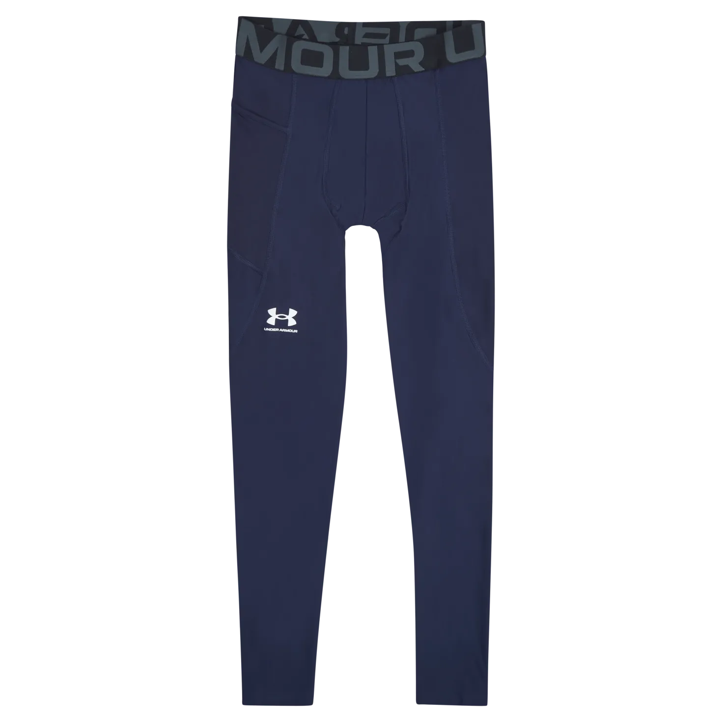 UA HG Armour Leggings