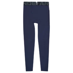 UA HG Armour Leggings