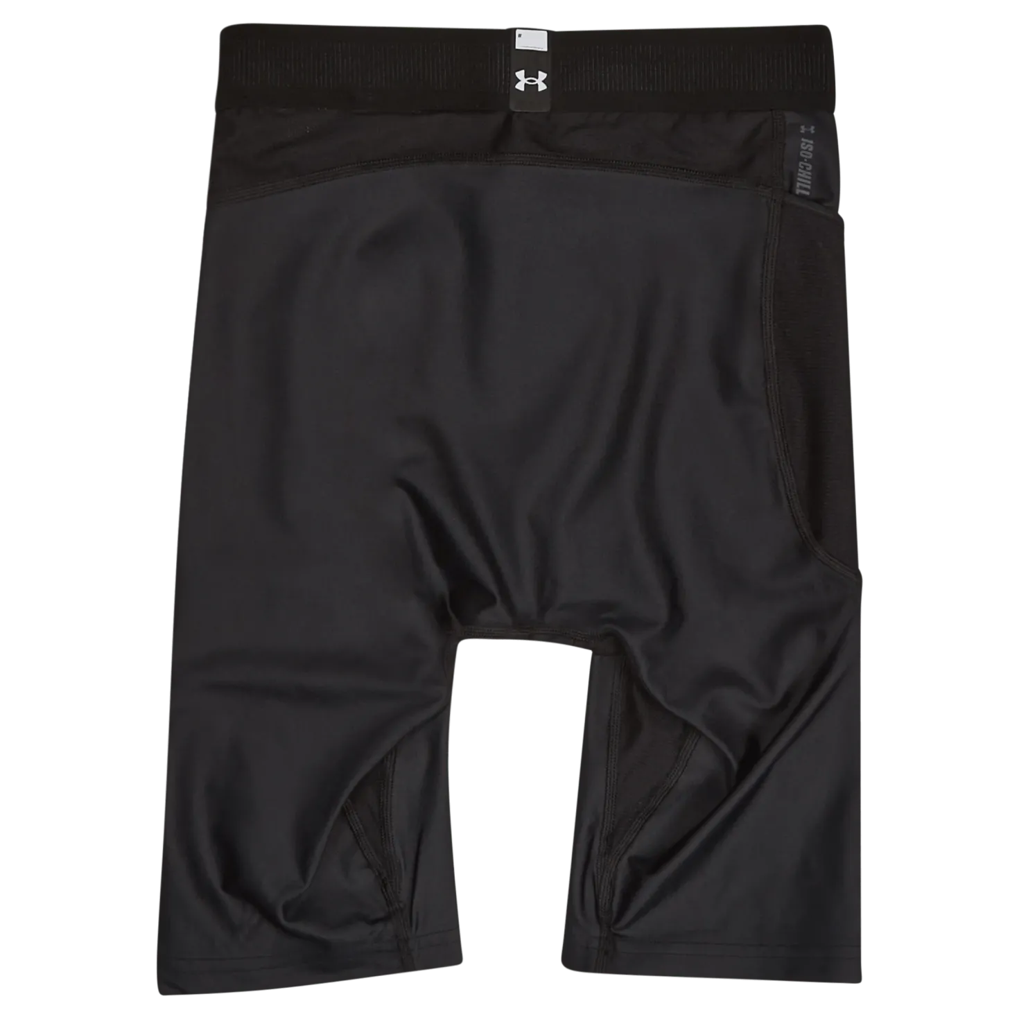 UA HG IsoChill Long Shorts