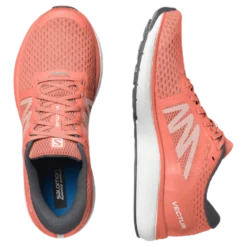 Vectur Red