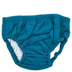 Wallis Swim Diaper Blue