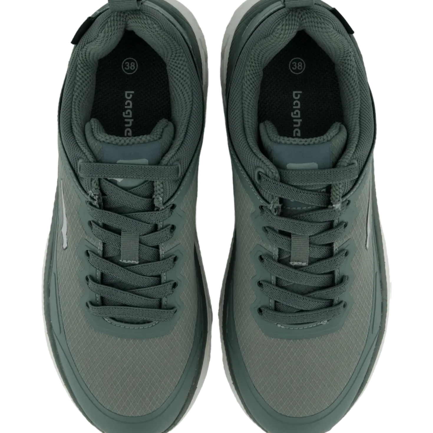 Zector Green/offwhite